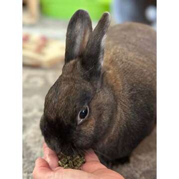 Sherwood Pet Health Adult Rabbit Food Timothy Hay Free-Choice 10lbs Hay-Based, Grain and Soy-Free for Better Digestion