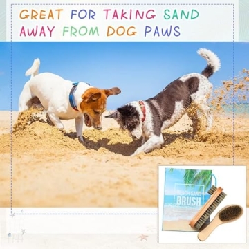 2 Pcs Sand Brush Kit for Easy Sand Removal Beach Essentials