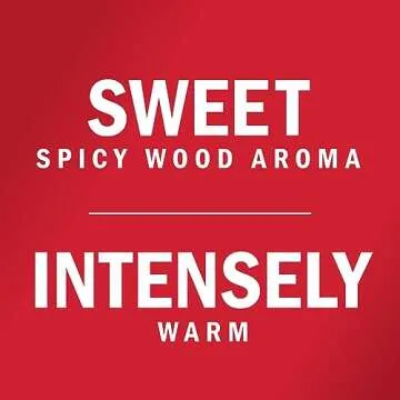 McCormick Ground Cinnamon - Rich Flavor for Holiday Baking
