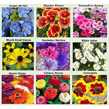 25 Heirloom Flower Seed Packets for Planting: 20+ Varieties Flower Seeds - Forget Me Not, Sunflower,...