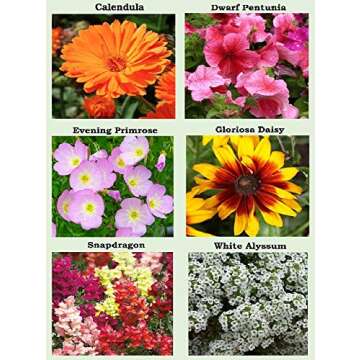25 Heirloom Flower Seed Packets for Planting: 20+ Varieties Flower Seeds - Forget Me Not, Sunflower, Marigold, Zinnia Lilliput, Snapdragon, Hummingbird & Butterfly Wildflower Seeds and More
