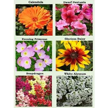 25 Heirloom Flower Seed Packets for Planting: 20+ Varieties Flower Seeds - Forget Me Not, Sunflower, Marigold, Zinnia Lilliput, Snapdragon, Hummingbird & Butterfly Wildflower Seeds and More