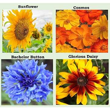 25 Heirloom Flower Seed Packets for Planting: 20+ Varieties Flower Seeds - Forget Me Not, Sunflower, Marigold, Zinnia Lilliput, Snapdragon, Hummingbird & Butterfly Wildflower Seeds and More