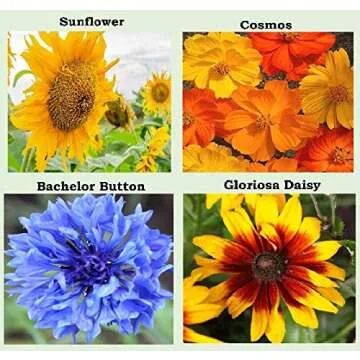 25 Heirloom Flower Seed Packets for Planting: 20+ Varieties Flower Seeds - Forget Me Not, Sunflower, Marigold, Zinnia Lilliput, Snapdragon, Hummingbird & Butterfly Wildflower Seeds and More