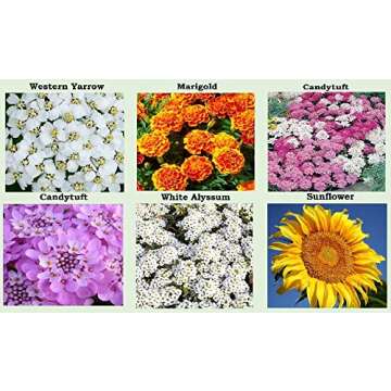 25 Heirloom Flower Seed Packets for Planting: 20+ Varieties Flower Seeds - Forget Me Not, Sunflower, Marigold, Zinnia Lilliput, Snapdragon, Hummingbird & Butterfly Wildflower Seeds and More