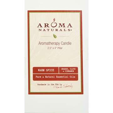 Aroma Naturals Holiday Orange, Clove and Cinnamon Essential Oil Scented Pillar Candle, Warm Spice, 2.5 inch x 4 inch