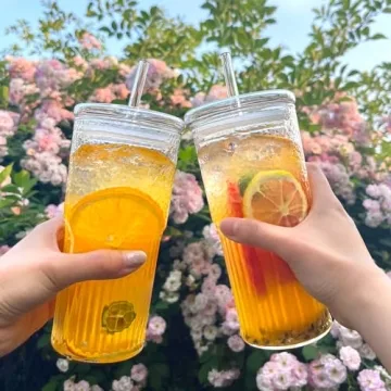 Stylish Borosilicate Glass Cups with Lids and Straws
