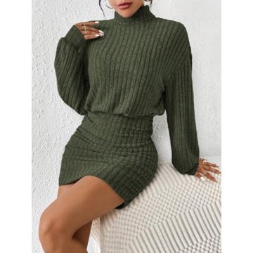 Chic Women's Sweater Dress Long Sleeve Turtleneck