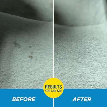 Rain-X Upholstery Cleaner with Stain Protection 16 Fl Oz