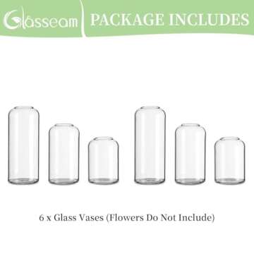 Glasseam Clear Glass Bud Vase, Set of 6 Modern Cylinder for Centerpieces, Blown Craft Aesthetic Decorative Small Flower Vases Bulk for Flowers Rose Tulip Pampas Grass