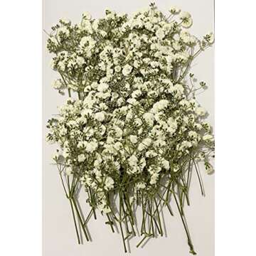 UOKWIWI 50 pcs White Baby's Breath Real Natural Dried Pressed Flowers for Resin Art Craft DIY Making Wedding Card Home Party Decor