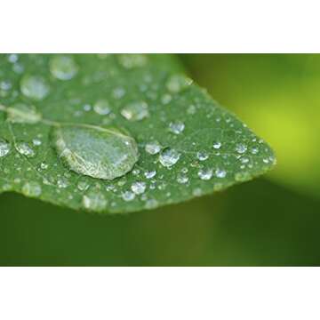 Nikon COOLPIX P900/P950 10x High Definition 2 Element Close-Up (Macro) Lens (67mm)