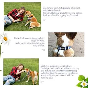 Dog Harness Collar Leash Set - No Pull Pet Adjustable Back Clip Halter Basic Collar Heavy Duty 5FT Anti-Twist Leash for Extra Small Puppy Medium Large Breed Training Running (Daisy, S)