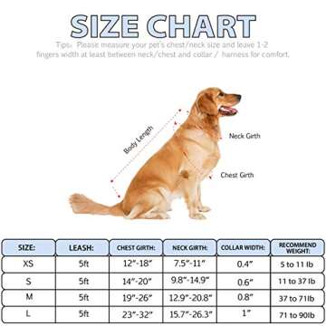 Dog Harness Collar Leash Set - No Pull Pet Adjustable Back Clip Halter Basic Collar Heavy Duty 5FT Anti-Twist Leash for Extra Small Puppy Medium Large Breed Training Running (Daisy, S)