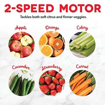 Dash Compact Centrifugal Juicer, Press Juicing Machine, 2-Speed, 2" Wide Feed Chute for Whole Fruit Vegetable, Anti-drip, Stainless Steel Sieve - Cool Grey