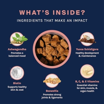 Good Trouble Pets Multivitamin for Dogs - Joint & Skin Health