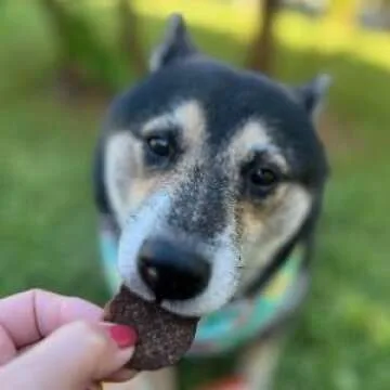 Farm To Pet - Dog Training Treats - Beef Chips, Single Ingredient, Lean, All Natural, Healthy Dog Treats for Small, Medium, Large Dog Breeds, & Puppies, Made in USA