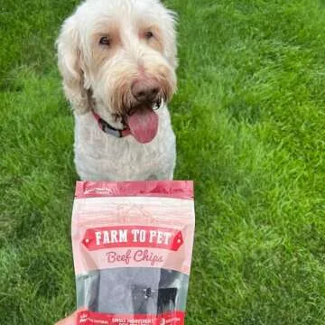 Farm To Pet - Dog Training Treats - Beef Chips, Single Ingredient, Lean, All Natural, Healthy Dog Treats for Small, Medium, Large Dog Breeds, & Puppies, Made in USA