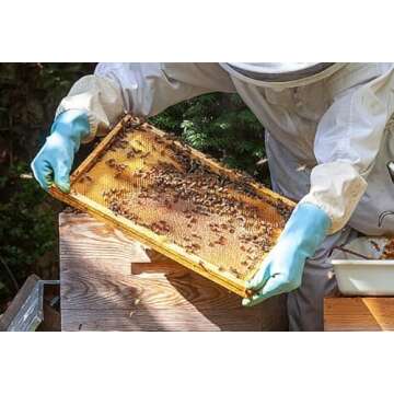 Honey Lake Deep Beehive Frames & Foundations Kit 10 Pack