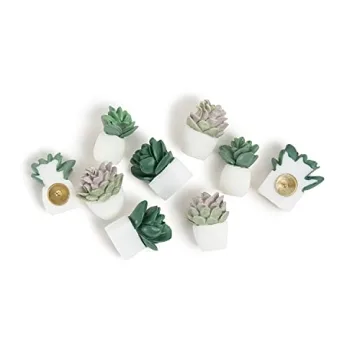 U Brands Succulent Push Pins Set for Creative Workspaces