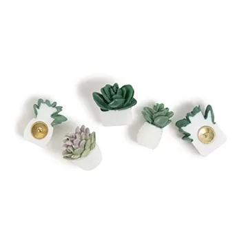 U Brands Succulent Push Pins Set for Creative Workspaces