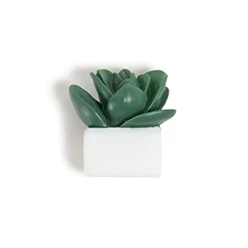 U Brands Succulent Push Pins Set for Creative Workspaces