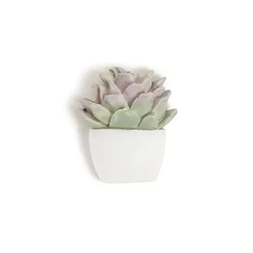 U Brands Succulent Push Pins Set for Creative Workspaces