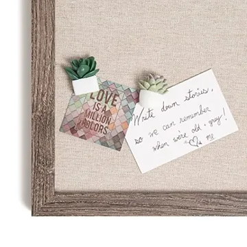 U Brands Succulent Push Pins Set for Creative Workspaces