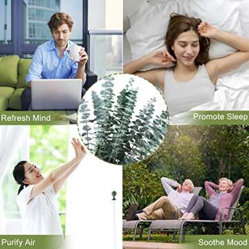 16 Pcs Preserved-Dried-Eucalyptus-Branches,17" Real Natural Fresh Eucalyptus Plant for Shower, Real Eucalyptus Bunch for Vase Filler, Greenery Stem, Dried Flowers Arrangement, Floral Home Decor