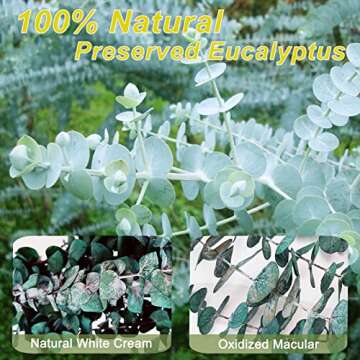 16 Pcs Preserved-Dried-Eucalyptus-Branches,17" Real Natural Fresh Eucalyptus Plant for Shower, Real Eucalyptus Bunch for Vase Filler, Greenery Stem, Dried Flowers Arrangement, Floral Home Decor