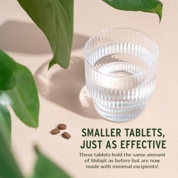 Banyan Botanicals Shilajit - Organic Mineral Supplement 90 Tablets