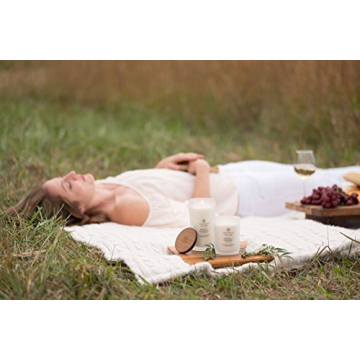 Chesapeake Bay Candle Peace + Tranquility Scented Candle