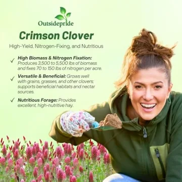 Vibrant Outsidepride Crimson Clover Seeds for Gardeners