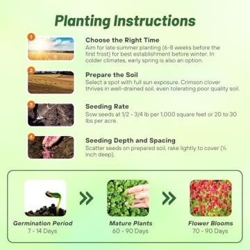 Vibrant Outsidepride Crimson Clover Seeds for Gardeners