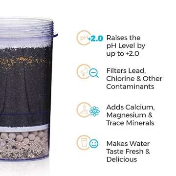 5-Stage Alkaline Replacement Filter for the Gravity Water System by Santevia | At Home Water Filter ...