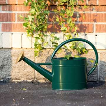 Decorative 1.3 Gallon Metal Watering Can