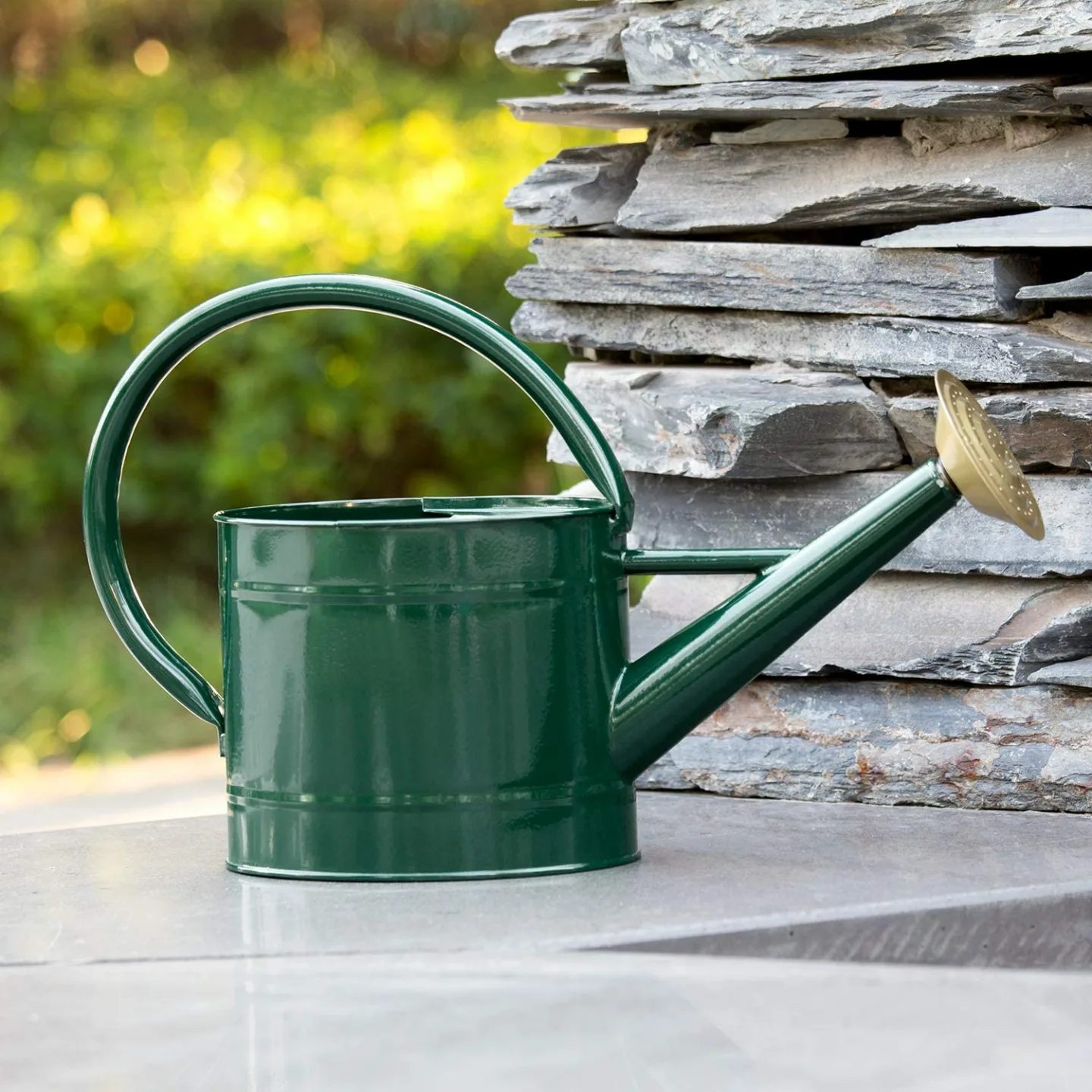 Decorative 1.3 Gallon Metal Watering Can