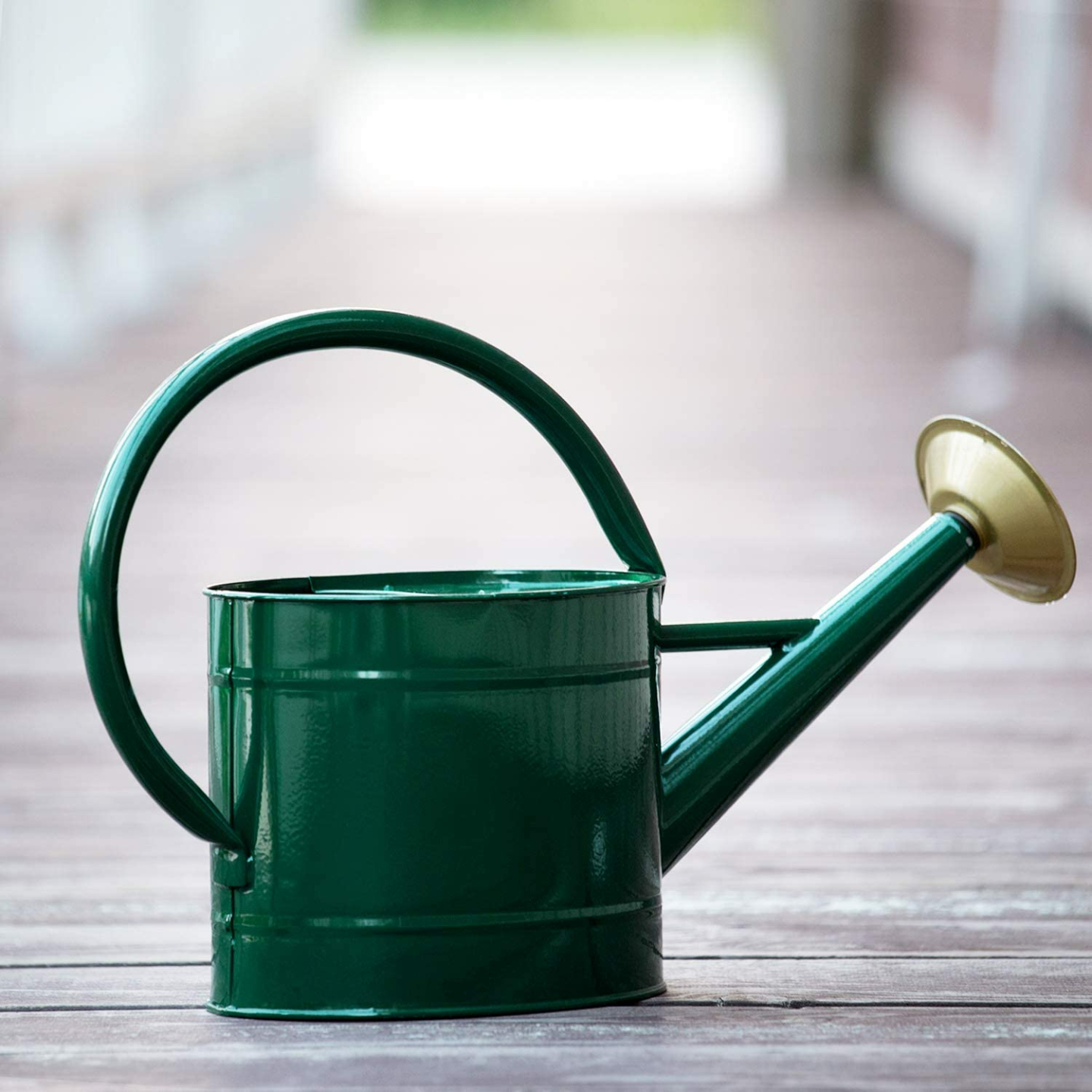 Decorative 1.3 Gallon Metal Watering Can