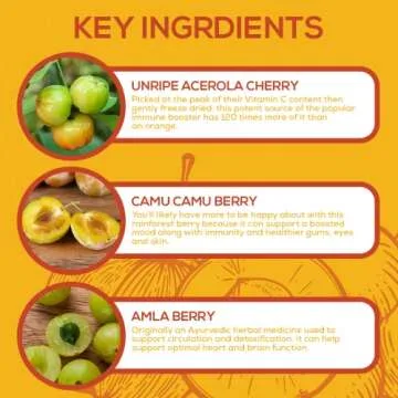 Paleovalley Essential C Complex - Vitamin C Supplement for Immune Support - 1 Pack, 450mg - Organic Superfoods Unripe Acerola Cherry, Camu Camu, Amla Berry - No Synthetic Ascorbic Acid - USA Made