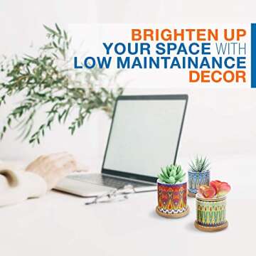 Juccini Ceramic Pots for Plants with Drainage Hole & Saucer ~ Indoor & Outdoor Succulent Planter Pots ~ Pattern Ceramic Cactus Pots for Home, Garden, Kitchen Decor ~ Pack of 3 (Cupid)