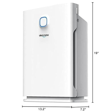 Okaysou AirMax 10L Pro Air Purifier for Large Rooms
