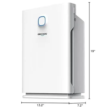 Okaysou AirMax 10L Pro Air Purifier for Large Rooms