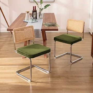Zesthouse Dining Chairs Set of 2 with Rattan Accents