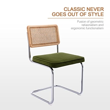 Zesthouse Dining Chairs Set of 2 with Rattan Accents