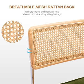 Zesthouse Dining Chairs Set of 2 with Rattan Accents