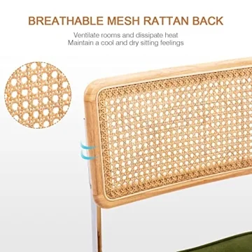 Zesthouse Dining Chairs Set of 2 with Rattan Accents