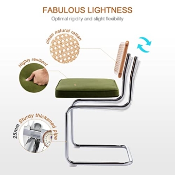 Zesthouse Dining Chairs Set of 2 with Rattan Accents