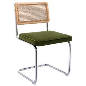 Zesthouse Dining Chairs Set of 2 with Rattan Accents