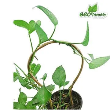 Handmade Bamboo Trellis for Potted Plants - 10 Pack