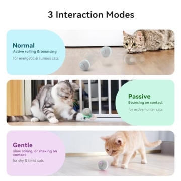 Cheerble Smart Interactive Cat Toy for Cats and Kittens